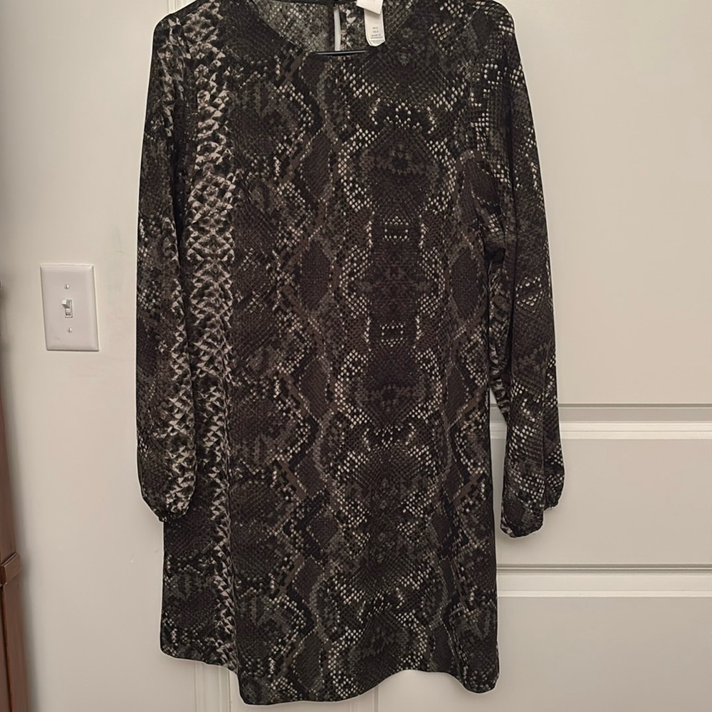 H&M Snakeskin Dress